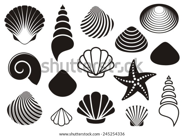 Set Different Black Sea Shells Starfish Stock Vector (Royalty Free ...