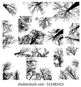 Set of different black tree silhouettes isolated on white background