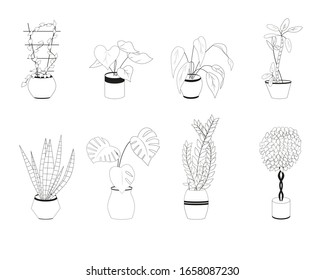 Eine Reihe verschiedener Schwarz-Weiß-Hauspflanzen. Kann verwendet werden, um Katalog, Karte, Flyer zu illustrieren. Vektorillustration einzeln auf weißem Hintergrund.