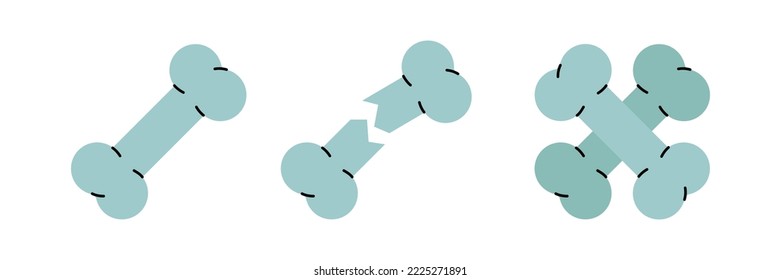 Set of different bones symbols. Colored bone icons. Orthopedics, medical rehab, fracture symbol. Vector illustration. Human bones icons