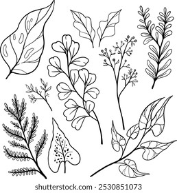 a set of different botanical sketches. the twigs and leaves are hand-drawn.