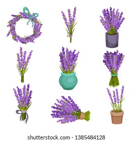 Set of different bouquets of flowers. Vector illustration