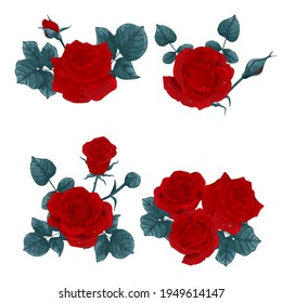 Set of different bouquets of red roses on a white background. Collection of various beautiful floral design elements for floral decoration of greeting, wedding or invitation card. Vector illustration