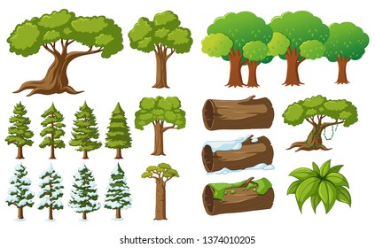 Set of different branch illustration