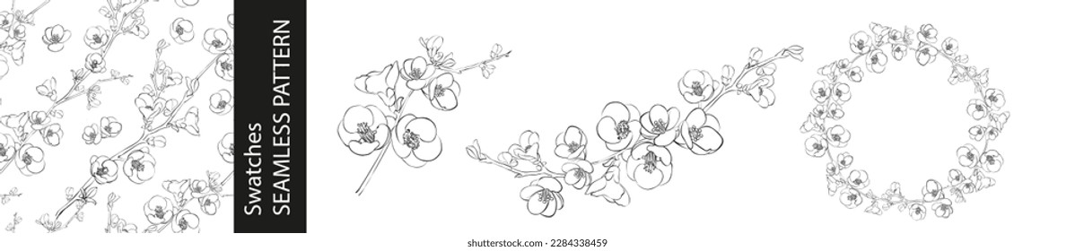 Set of different branches of cherry flowers, pattern and circle frame on white background.