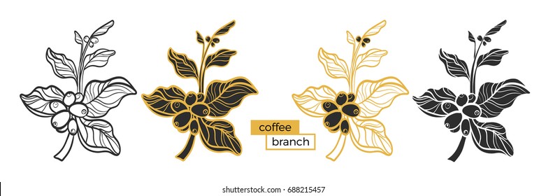 Set of different branches of coffee tree with leaves and natural coffee beans on white background. Organic product. Silhouette, shape. Nature collection. Vector eps.10