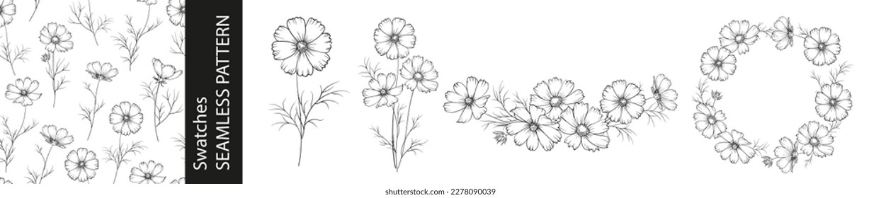 Set of different branches of cosmos flowers, seamless pattern and circle frame on white background.