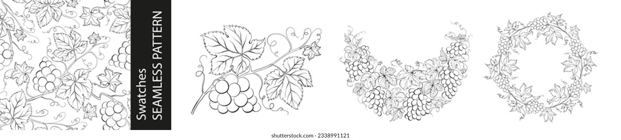 Set of different branches of grapes, seamless pattern and circle frame on white background.