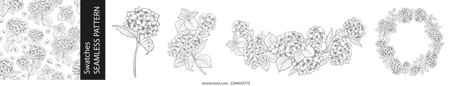 Set of different branches of hydrangeas, pattern and circle frame on white background.