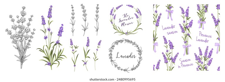 Set of different branches of lavender, pattern and circle frame on white background. 