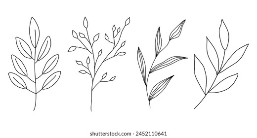 Set of different branches with leaves, doodle style flat vector outline for coloring book