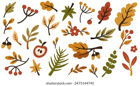 Set of different branches with leaves, red berries. Leaf of foliage plant. Collection of botanical design elements. Colored flat vector illustration of autumn herbarium isolated on white background