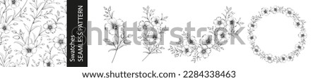 Set of different branches of linen flowers, seamless pattern and circle frame on white background. ストックフォト © 