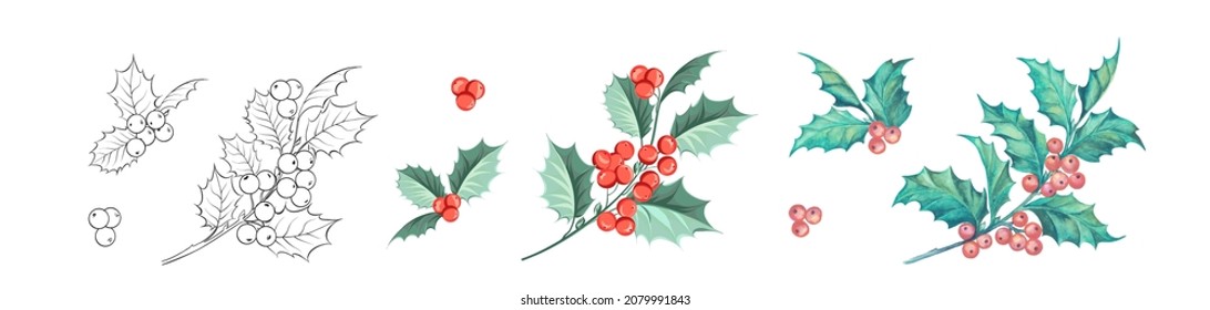 Set of different branches of mistletoe flowers isolated. Watercolor, line art, outline illustration.