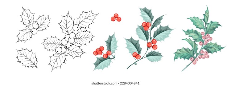 Set of different branches of mistletoe flowers isolated. Watercolor, line art, outline illustration. 