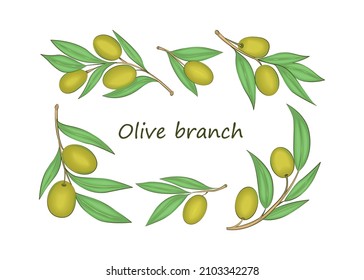 Set of different branches of olive. Sample. Multi-colored image. There is a text. Vector illustration.