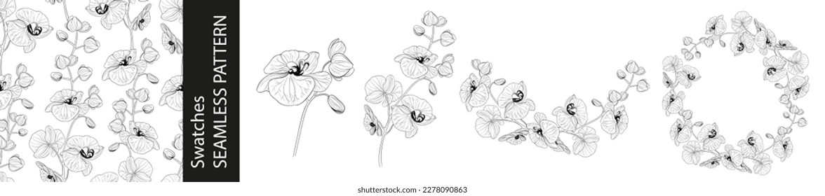 Conjunto de diferentes ramas de flores orquídeas, patrón sin fisuras y marco circular sobre fondo blanco.