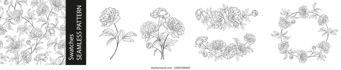 Set of different branches of peony, pattern and circle frame on white background.