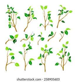 Set of different branches in silhouette style.
