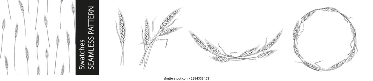 Set of different branches of wheat, seamless pattern and circle frames on white background.