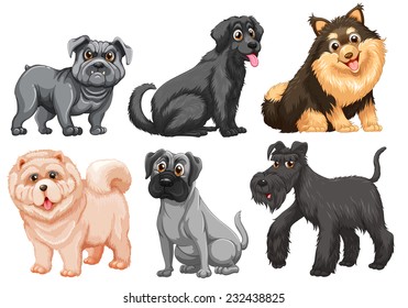 Set of different breed of dogs