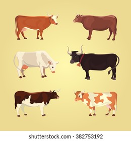 Set of different  breeds cows, isolated. Vector illustration of cute milk mammal. Collection cartoon bull and calf vector.
