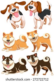Set of different breeds of dog