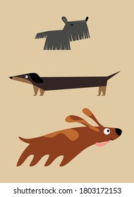 Set of the different breeds of dogs