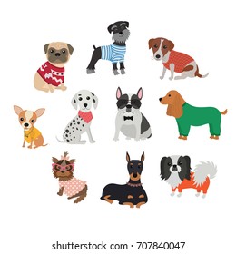 Set of different breeds of dogs in clothing and accessories