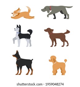 Set of different breeds of dogs in a flat style. Dog icon or logo element.Vector illustration. Standard breed design, side view. Cartoon character of a dog. Pet..