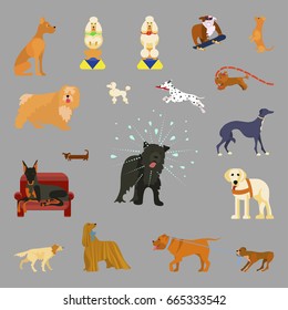 Set of different breeds of dogs. flat style Isolated vector illustration eps 10 