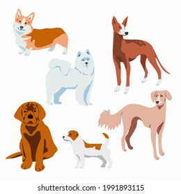 Set of different breeds of dogs. Hand drawn vector illustration. Isolated on white background