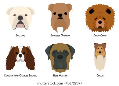 Set of different breeds of dogs on a white background