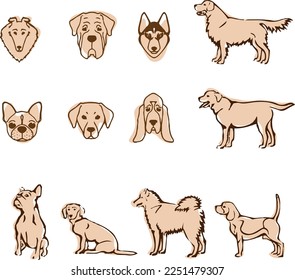 Set of different breeds of dogs and their muzzles
