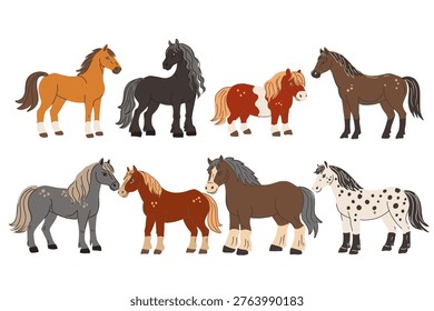 Set of different breeds of horses, hand drawn vector illustration.