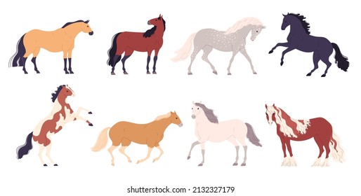 Set of different breeds of horses Vector illustration.