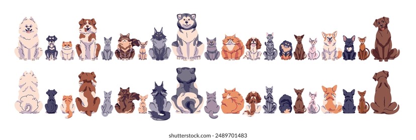 Conjunto de diferentes razas de mascotas. Fila de varios perros, gatos en la parte posterior y vistas frontales. Cachorros lindos, gatitos divertidos, animales domésticos felices. Ilustraciones vectoriales aisladas planas sobre fondo blanco