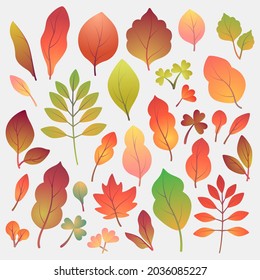 Conjunto de diferentes hojas de otoño brillantes aisladas en un fondo claro. Ilustración vectorial al estilo de las caricaturas planas.