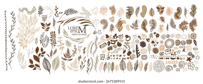Set of different brown and beige vector flowers . hand drawn. Not AI, Vector illustration.