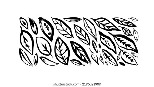 Set of different brush drawn leaves. Hand drawn decorative plant elements. Black vector cliparts. Monochrome jungle exotic leaves with decorative veins. Doodle or sketch style. Spring, autumn foliage.