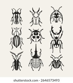 Conjunto de diferentes bugs. Linha ícones com barata, joaninha e besouro. Natureza e biodiversidade insetos espécies. Elementos de design para impressão. Coleção de ilustrações de vetor de contorno isolada no plano de fundo