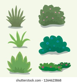 Set of different bushes on a light background