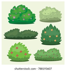 Set of different bushes on a light background