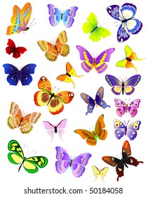 set of different butterflies