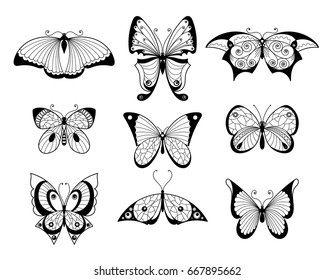 Set of different butterflies and bugs with beautiful patterns on wings. Hand drawn vector illustrations