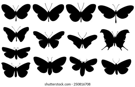 set of different butterflies isolated