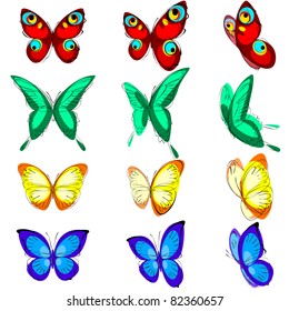 a set of different butterflies, various types, color options and location