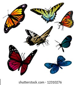 set of different butterflies vector