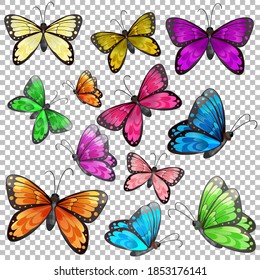 Set of different butterfly on transparent background illustration