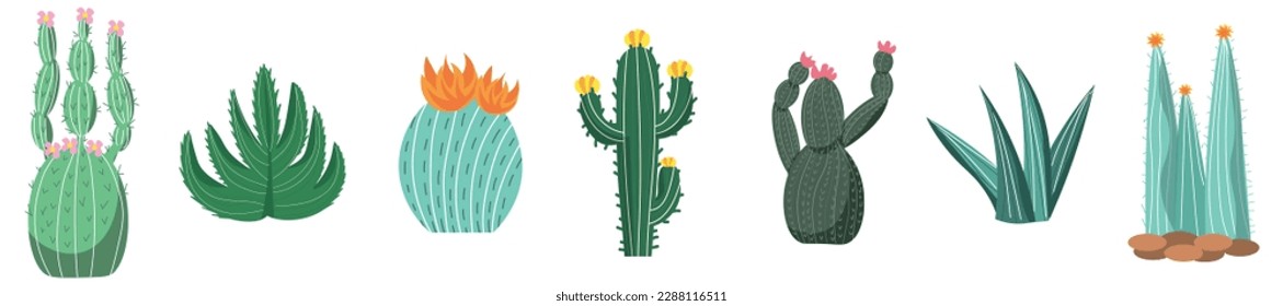 Set of different cacti and succulents on white background